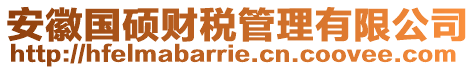 安徽國(guó)碩財(cái)稅管理有限公司