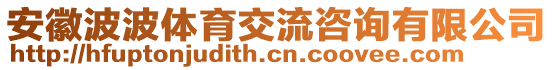 安徽波波體育交流咨詢有限公司