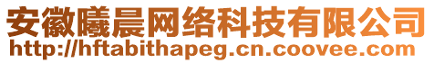 安徽曦晨網(wǎng)絡(luò)科技有限公司