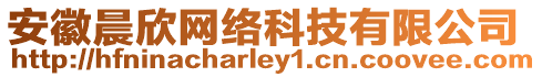 安徽晨欣網(wǎng)絡(luò)科技有限公司