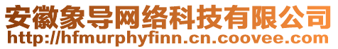 安徽象導(dǎo)網(wǎng)絡(luò)科技有限公司