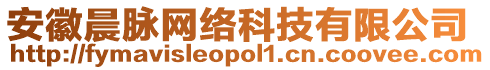 安徽晨脈網(wǎng)絡(luò)科技有限公司