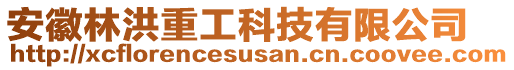 安徽林洪重工科技有限公司