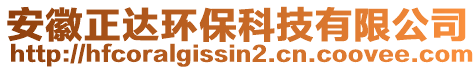 安徽正達環(huán)?？萍加邢薰? style=