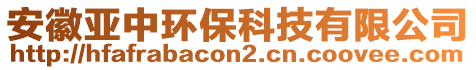 安徽亞中環(huán)保科技有限公司