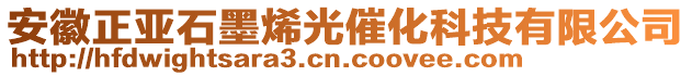 安徽正亞石墨烯光催化科技有限公司