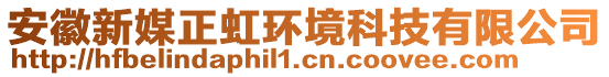 安徽新媒正虹環(huán)境科技有限公司