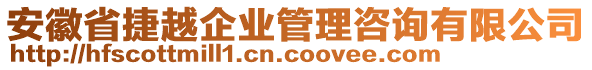 安徽省捷越企業(yè)管理咨詢有限公司