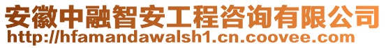 安徽中融智安工程咨詢有限公司