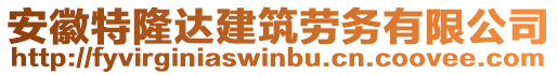 安徽特隆達建筑勞務(wù)有限公司