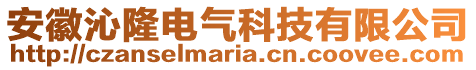 安徽沁隆電氣科技有限公司