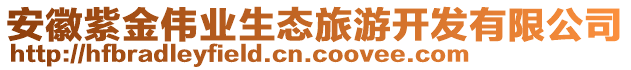 安徽紫金偉業(yè)生態(tài)旅游開發(fā)有限公司