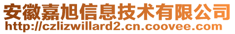 安徽嘉旭信息技術(shù)有限公司