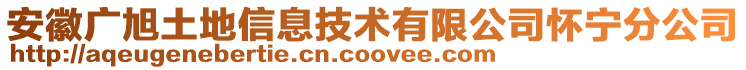 安徽廣旭土地信息技術有限公司懷寧分公司