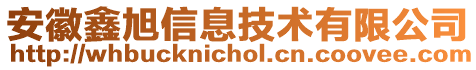 安徽鑫旭信息技術有限公司