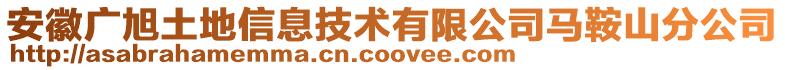 安徽廣旭土地信息技術(shù)有限公司馬鞍山分公司