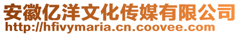 安徽億洋文化傳媒有限公司