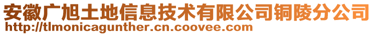 安徽廣旭土地信息技術有限公司銅陵分公司