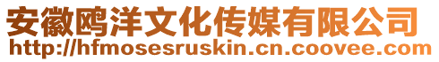 安徽鷗洋文化傳媒有限公司