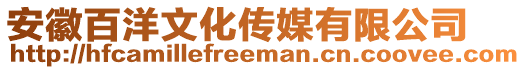 安徽百洋文化傳媒有限公司