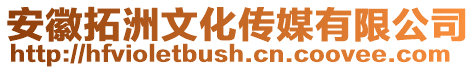 安徽拓洲文化傳媒有限公司