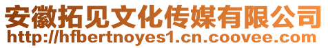 安徽拓見文化傳媒有限公司