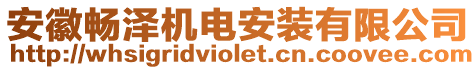 安徽暢澤機電安裝有限公司