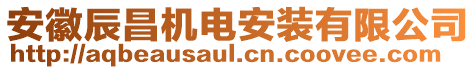 安徽辰昌機(jī)電安裝有限公司