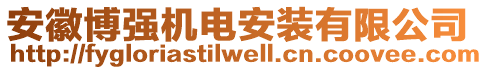 安徽博強機電安裝有限公司