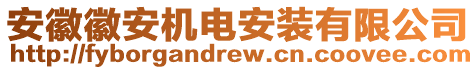 安徽徽安機(jī)電安裝有限公司