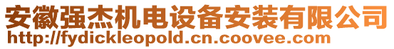 安徽強杰機電設備安裝有限公司