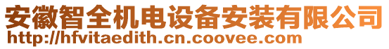 安徽智全機電設備安裝有限公司