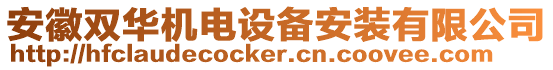 安徽雙華機(jī)電設(shè)備安裝有限公司