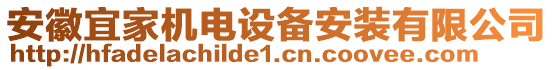 安徽宜家機電設備安裝有限公司