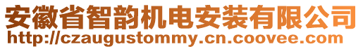 安徽省智韻機(jī)電安裝有限公司