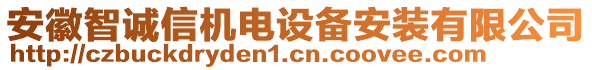 安徽智誠信機電設備安裝有限公司