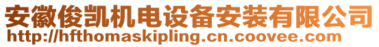 安徽俊凱機(jī)電設(shè)備安裝有限公司