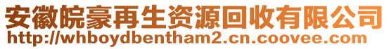 安徽皖豪再生資源回收有限公司