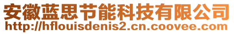 安徽藍(lán)思節(jié)能科技有限公司