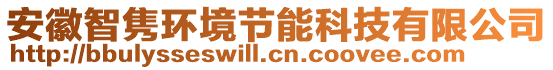 安徽智雋環(huán)境節(jié)能科技有限公司