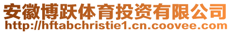 安徽博躍體育投資有限公司