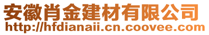 安徽肖金建材有限公司