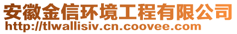 安徽金信環(huán)境工程有限公司