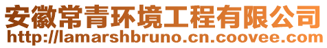 安徽常青環(huán)境工程有限公司