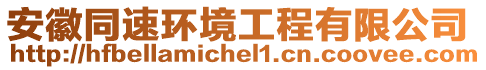 安徽同速環(huán)境工程有限公司