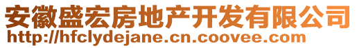 安徽盛宏房地產(chǎn)開發(fā)有限公司