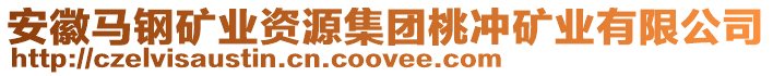 安徽馬鋼礦業(yè)資源集團(tuán)桃沖礦業(yè)有限公司