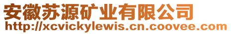 安徽蘇源礦業(yè)有限公司