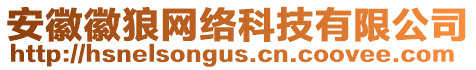 安徽徽狼網(wǎng)絡(luò)科技有限公司