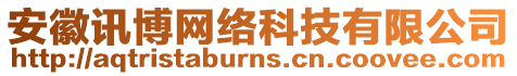 安徽訊博網(wǎng)絡(luò)科技有限公司